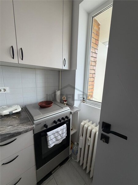 Colentina, Parc Plumbuita